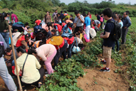 ��ɽ�߷��H����