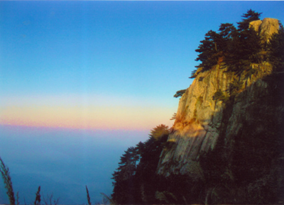 ����կ����