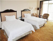 ��╞���Ƶ�