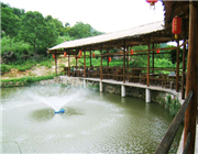 �����r(n��ng)�f�TƱ