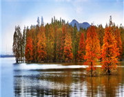 �R����ɽ���L���^(q��)