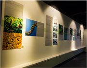 �Ї��x�ݲ����^