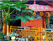 ����ʡ�t���ݏ���̫ƽҼ������