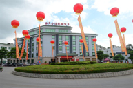 �������I(l��ng)�̄�(w��)�Ƶ�  �������B�T ��